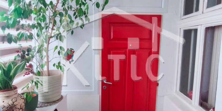 viber_image_2026-03-06_12-00-00-805