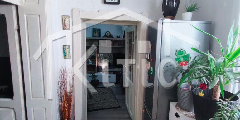 viber_image_2026-03-06_12-00-00-904