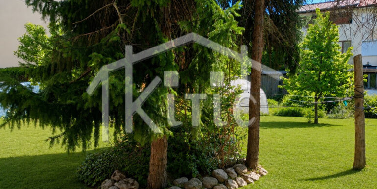 viber_image_2026-05-29_11-50-11-053